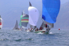 regata04